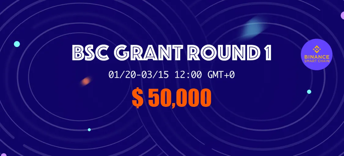 BSC Grant Round 1 Grants DoraHacks